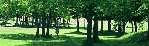 �i���j��������